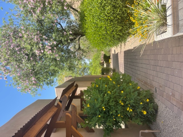 Scottsdale Office picture